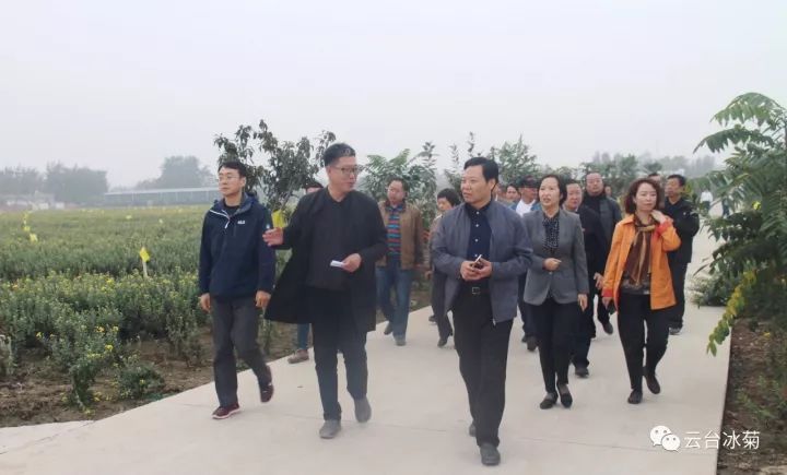 云臺冰菊基地發(fā)生了什么？一批批領導專家團隊前來！