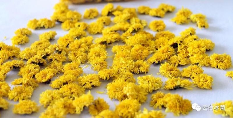 2018，種下希望，靜待花開！